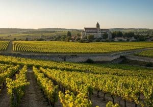 histoire vignoble Bourgogne